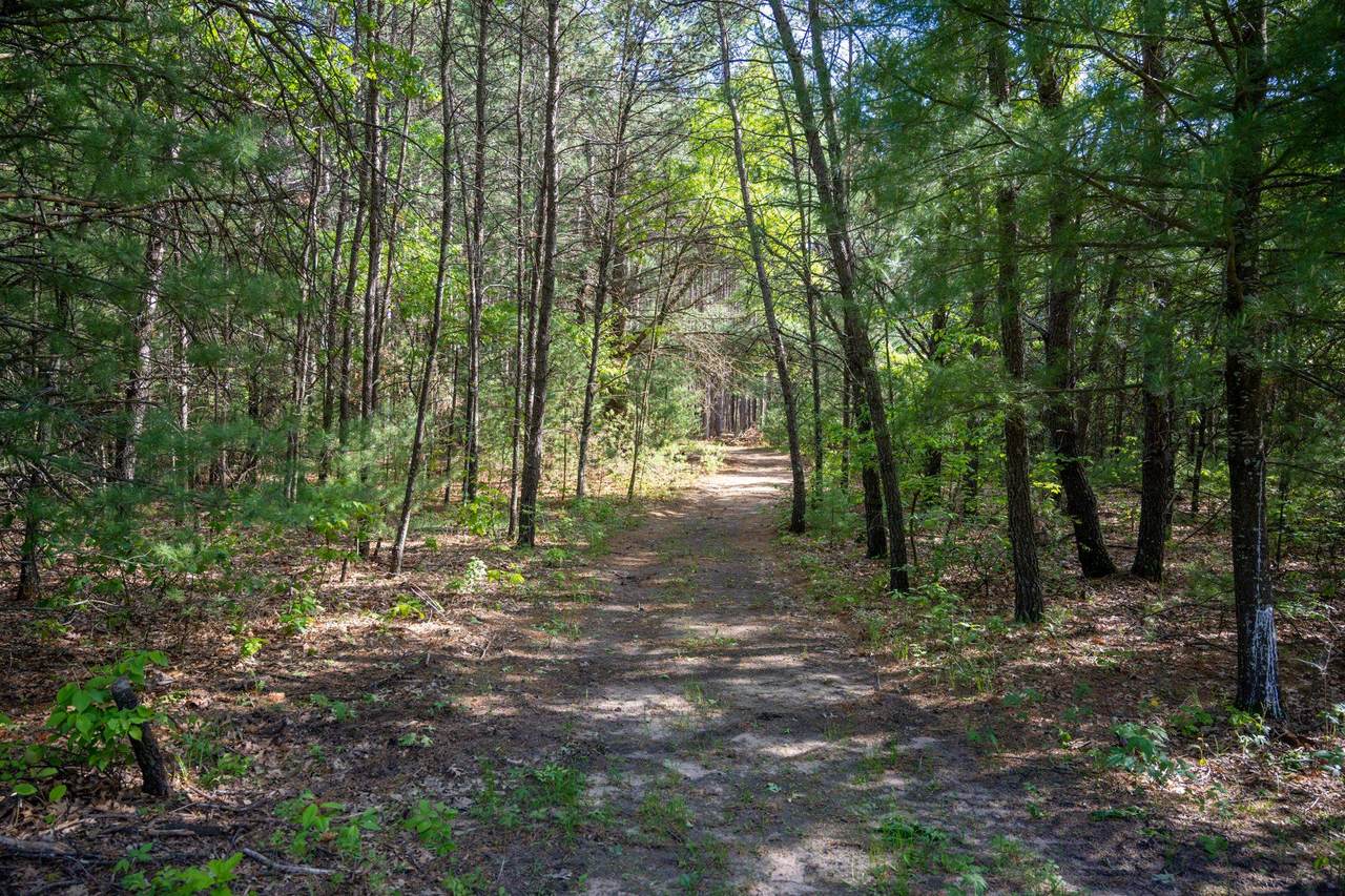 6.49 acres County Road G - Photo 1