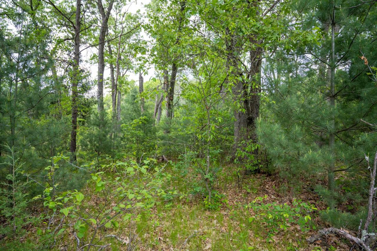Lot 36 Fawn Court - Photo 1