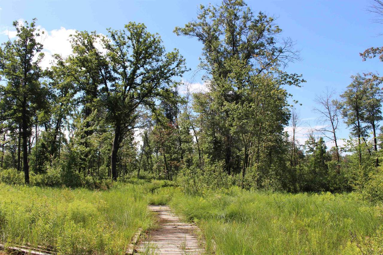 611 Highway 21 - Photo 1