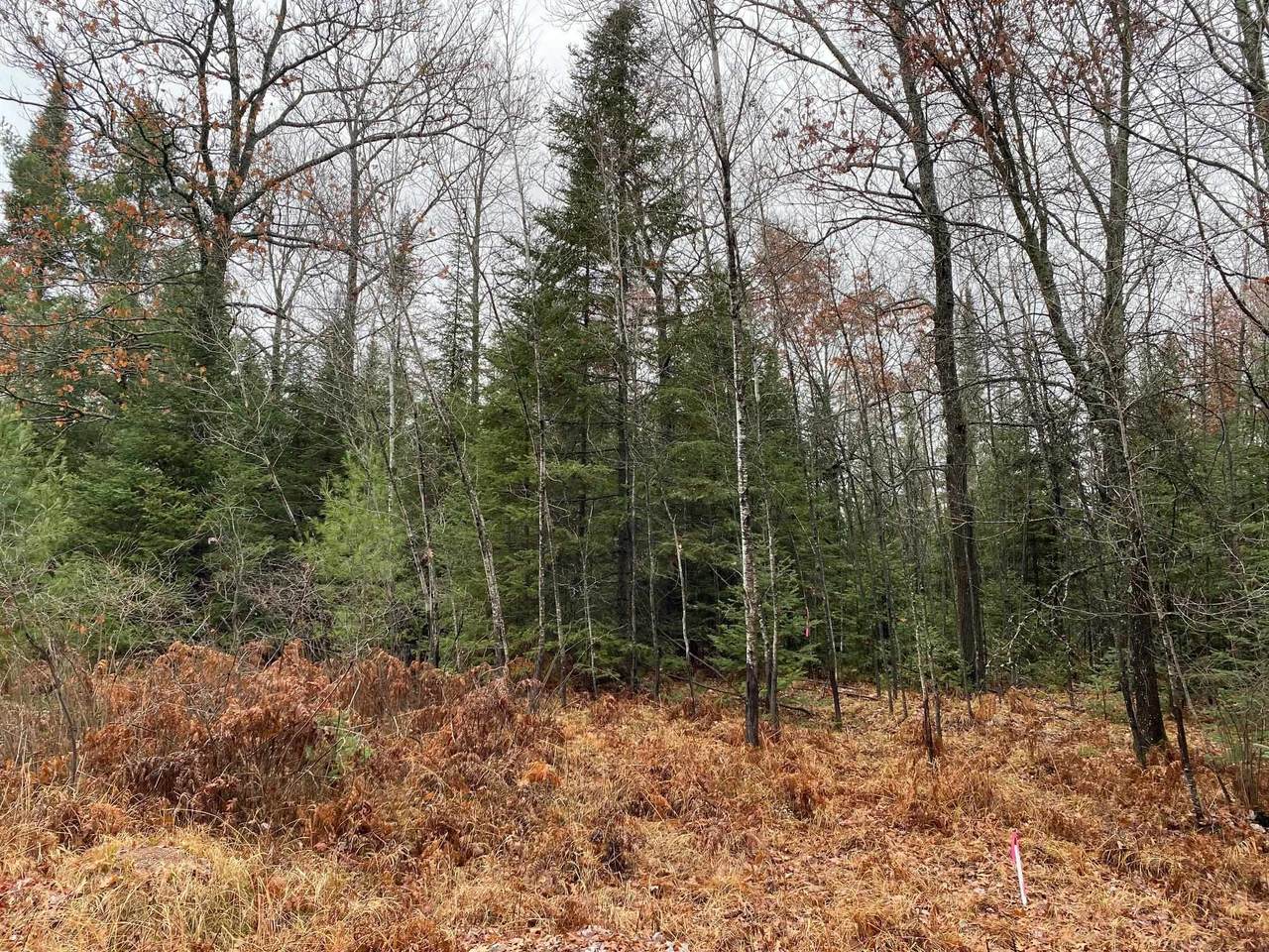  Moen Lake Drive - Photo 1