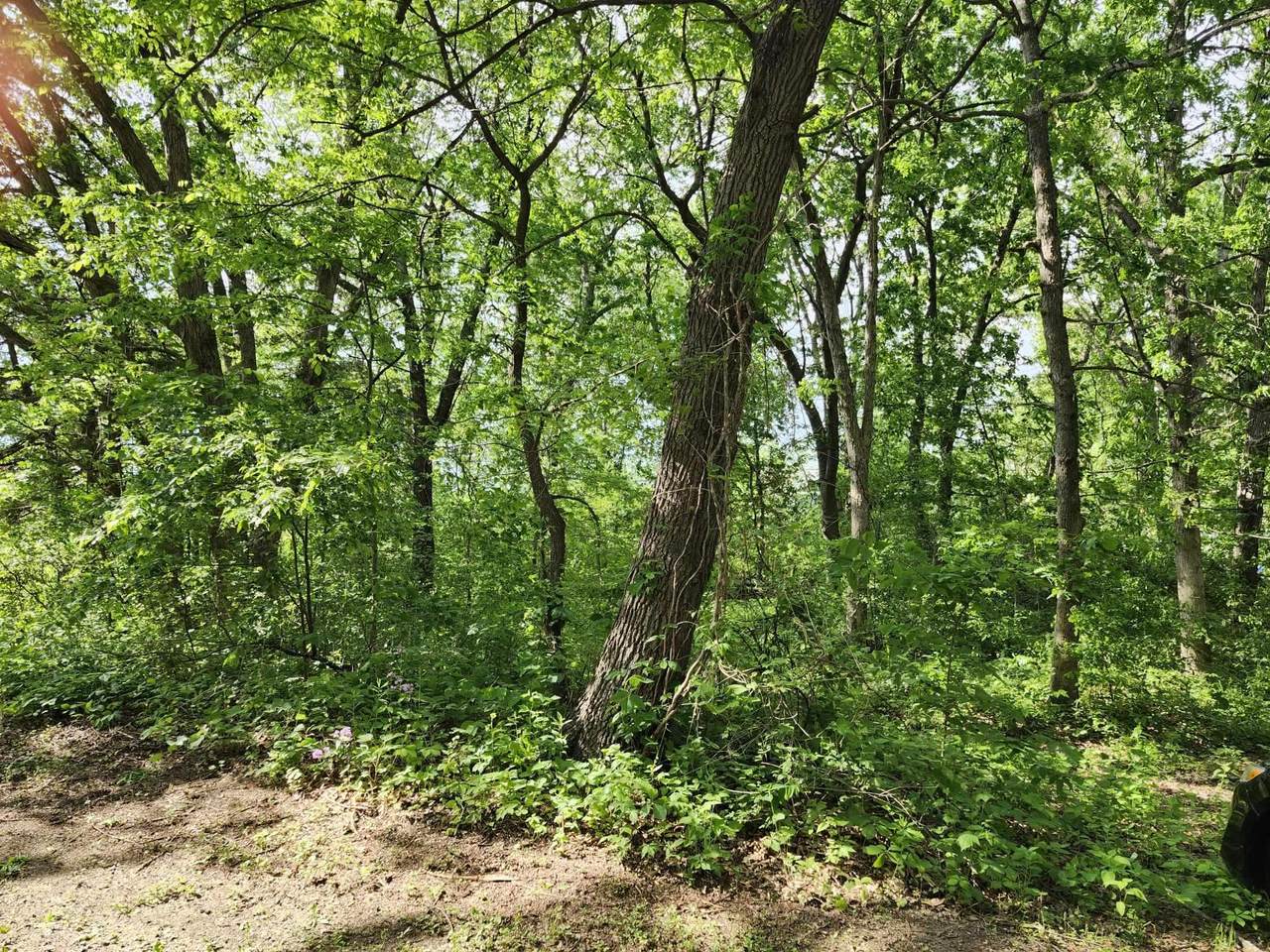 https://bt-photos.global.ssl.fastly.net/madison/1280_boomver_1_1997289-2.jpg