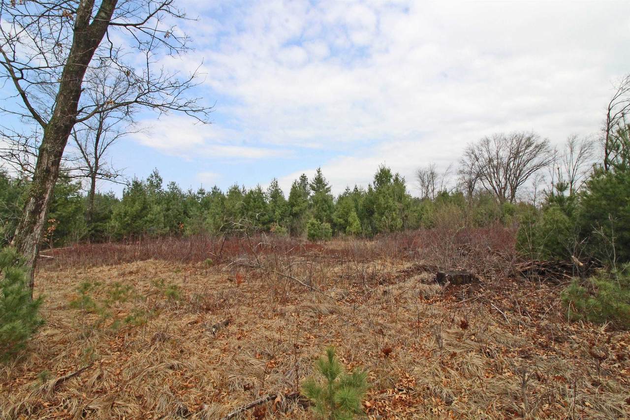 Lot19 Timber Trail - Photo 1