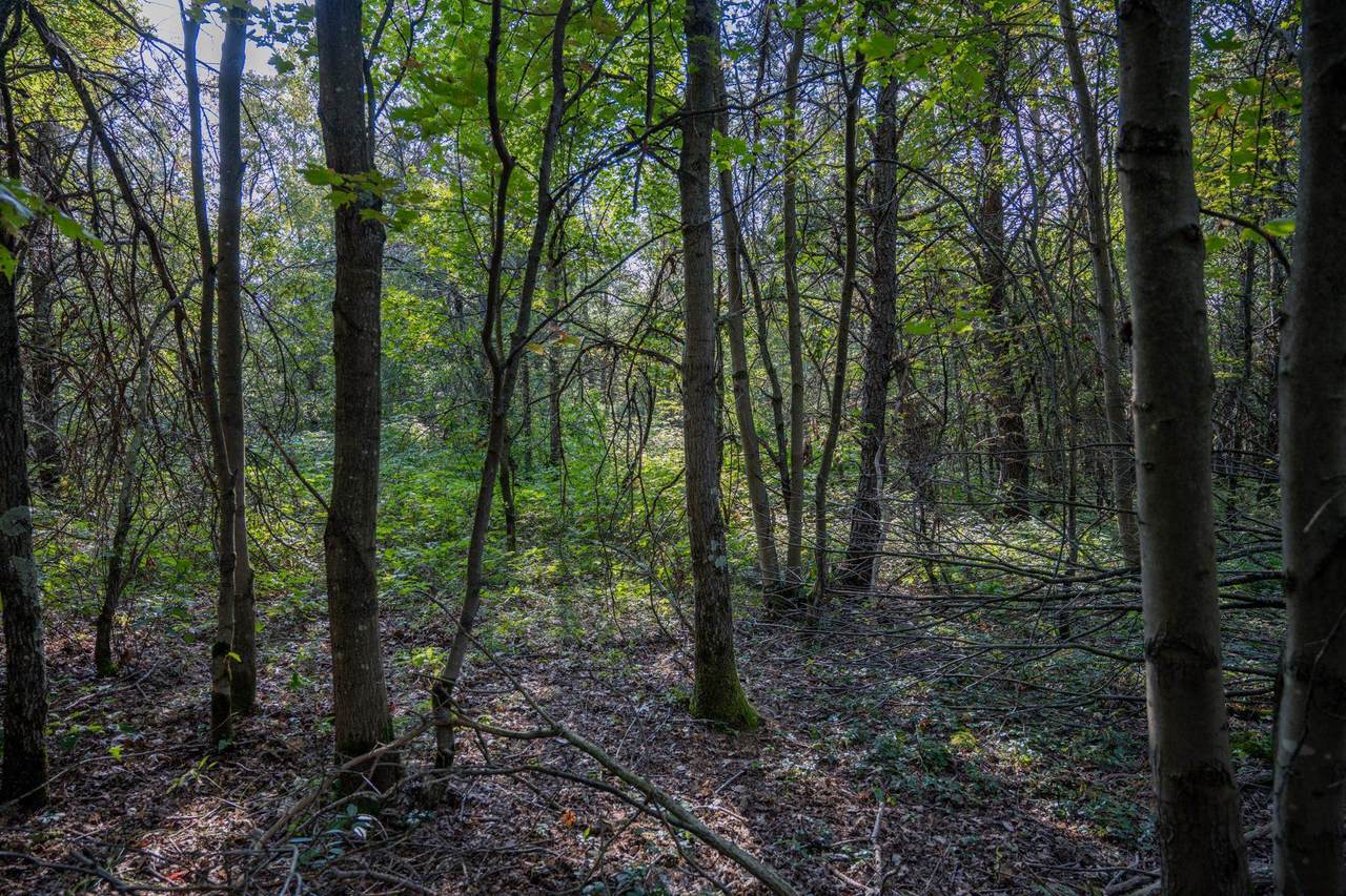 Lot 4 20th Street - Photo 1