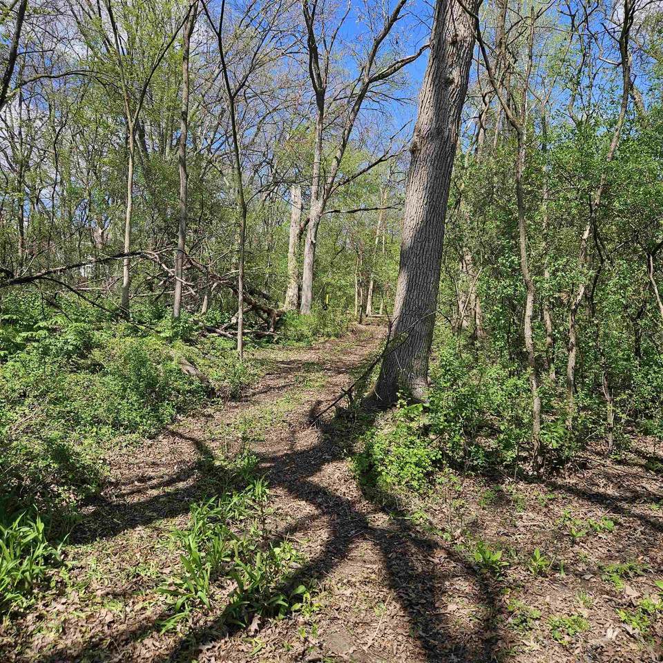 https://bt-photos.global.ssl.fastly.net/madison/1280_boomver_1_1998817-2.jpg