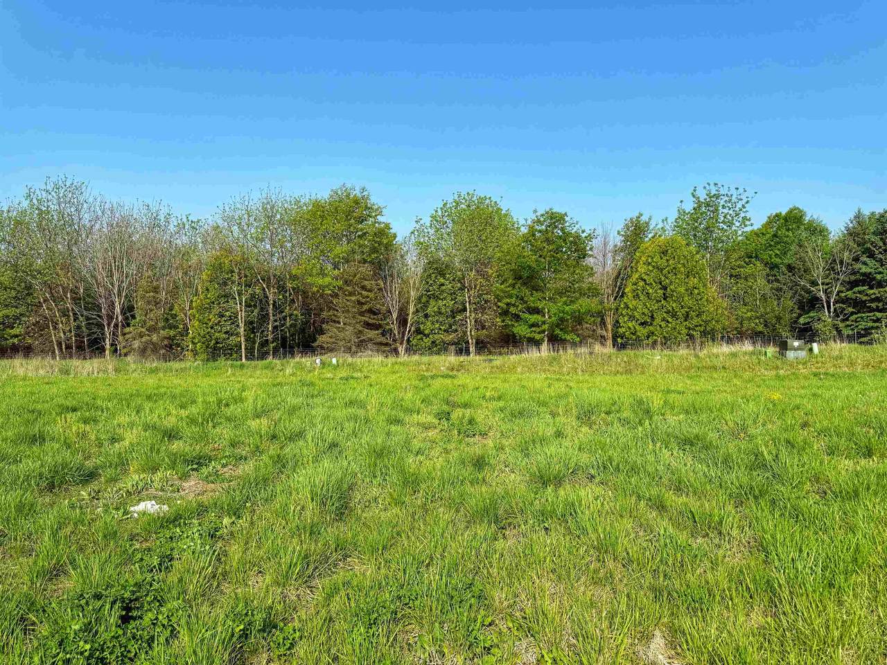 1257 Tivoli Circle - Photo 1