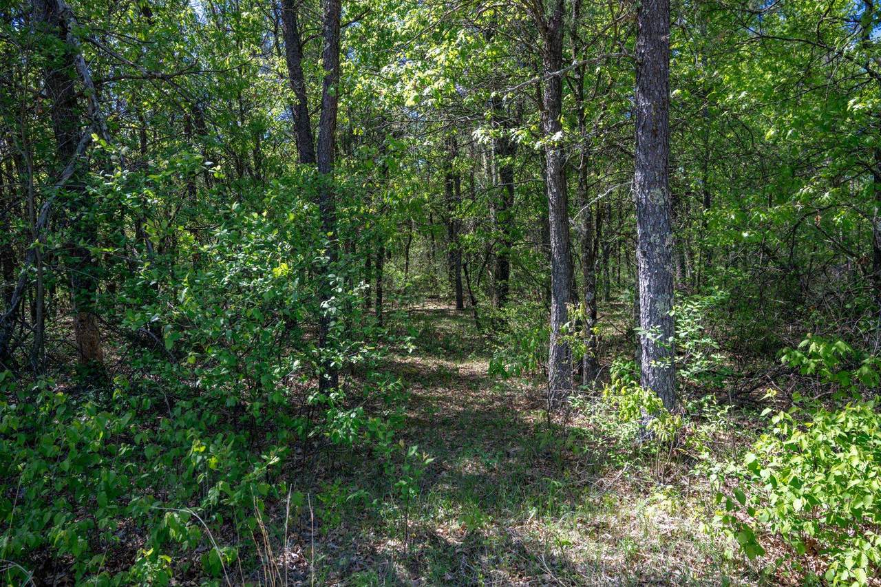 Lot 2 Aroma Lane - Photo 1