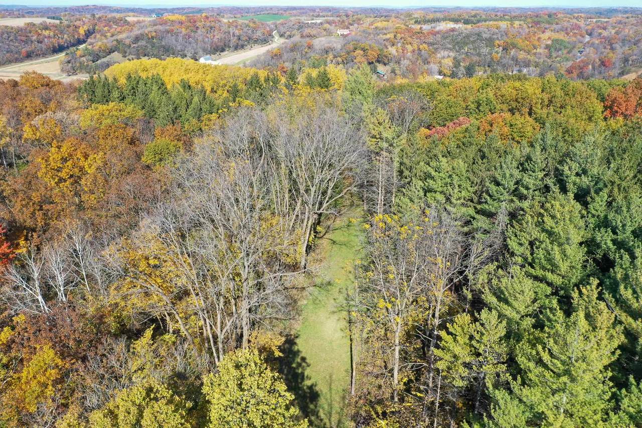 28.7 Acres Turkey Road - Photo 1
