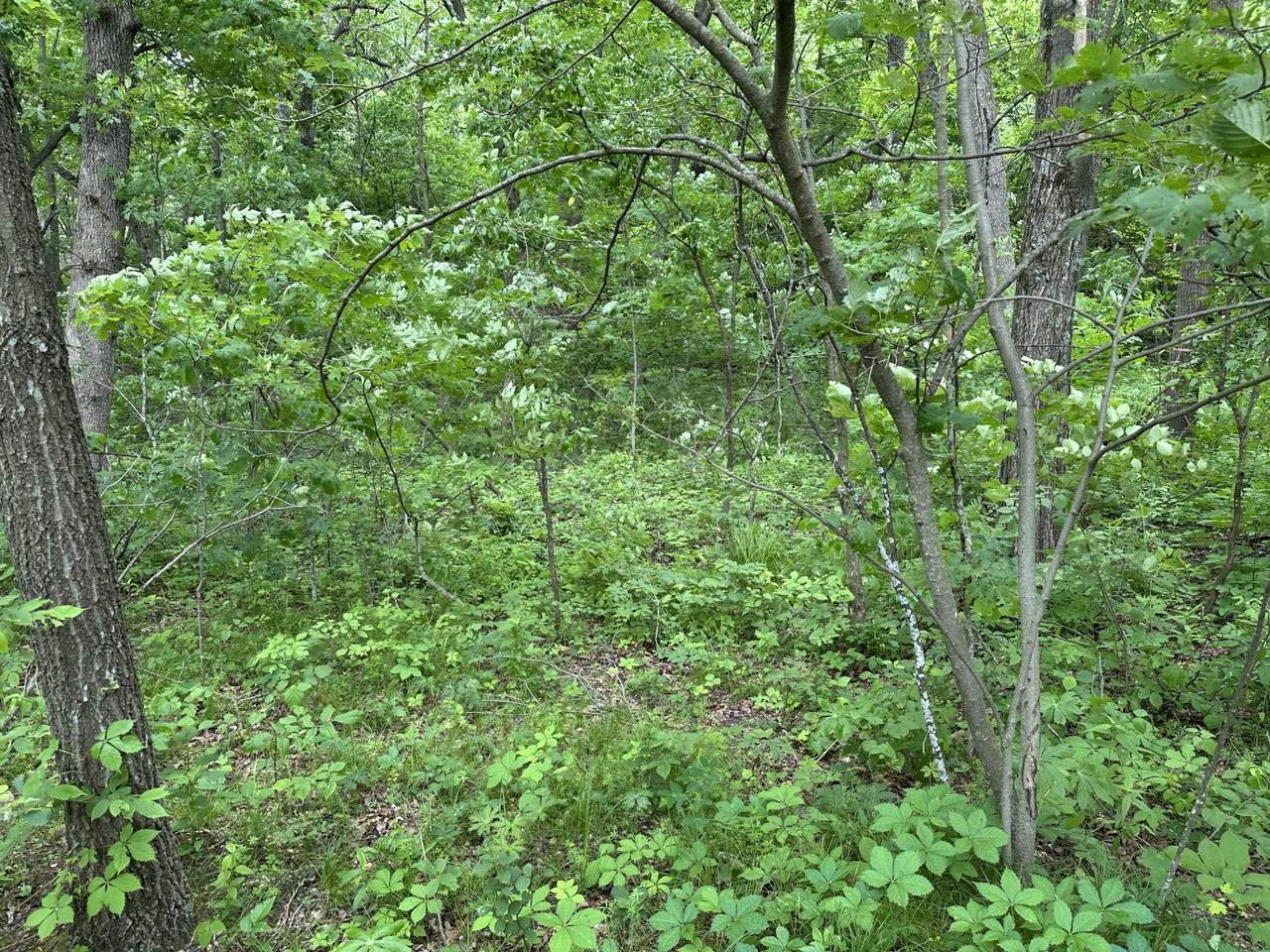 https://bt-photos.global.ssl.fastly.net/madison/1280_boomver_1_2001768-2.jpg