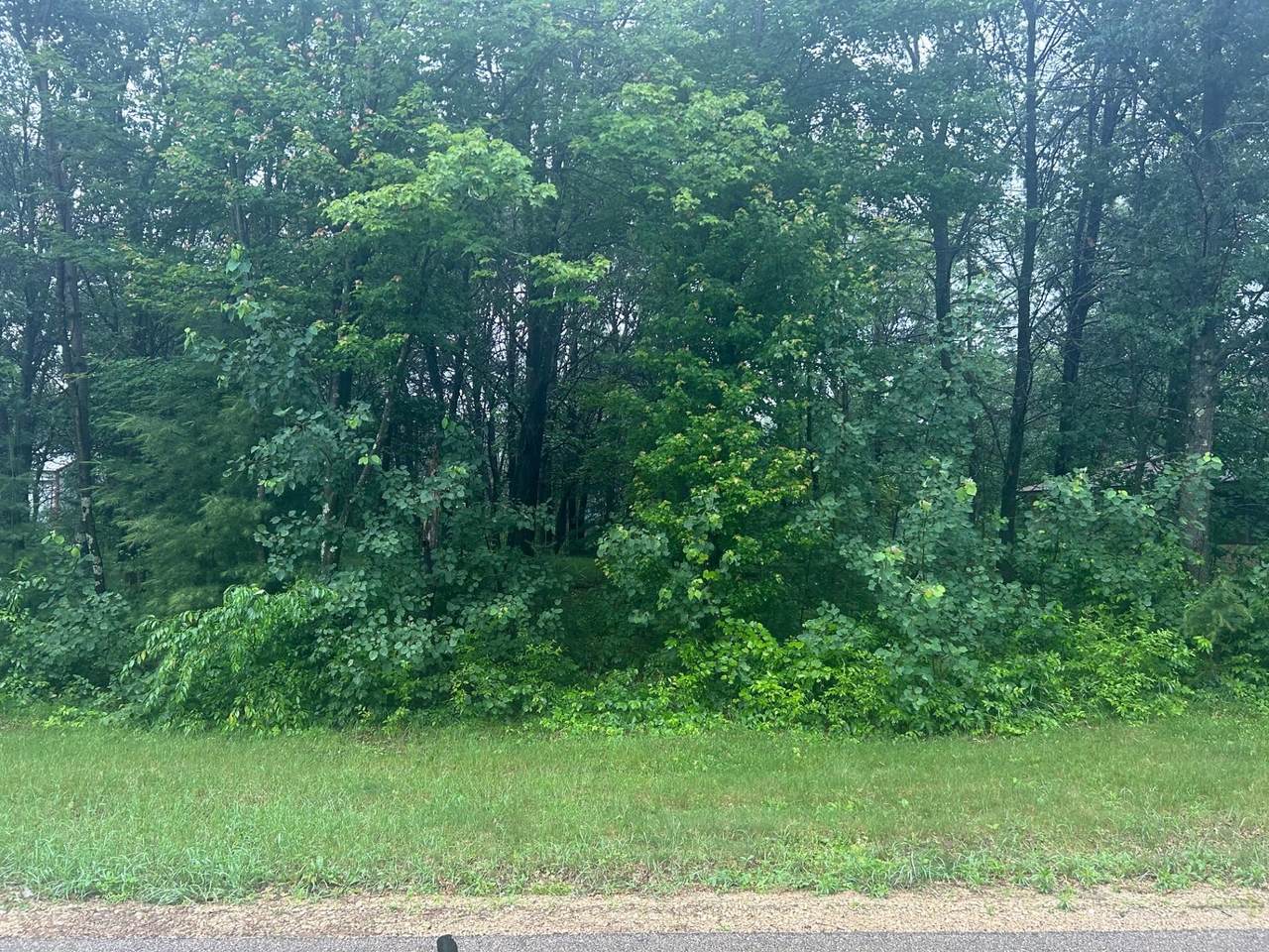 Lot 8 Overlook Drive - Photo 1