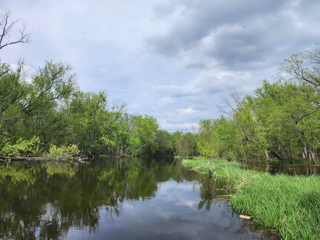 Lot 2 St Lawrence Bluff Road - Photo 1