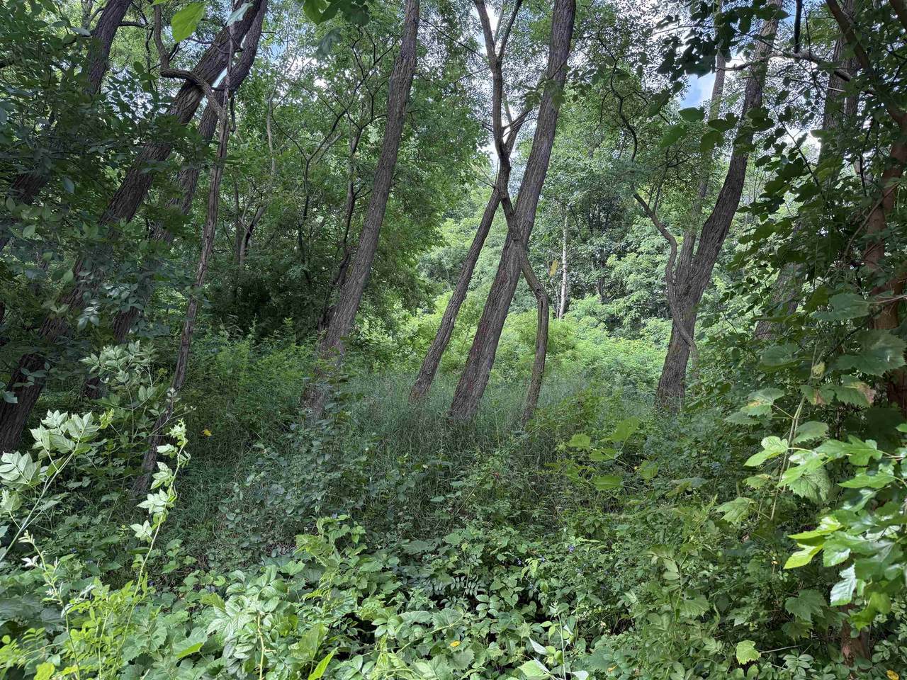 L1095 Hunt Club Addn - Photo 1