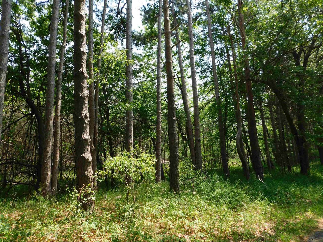 N4502 Pine Drive - Photo 1