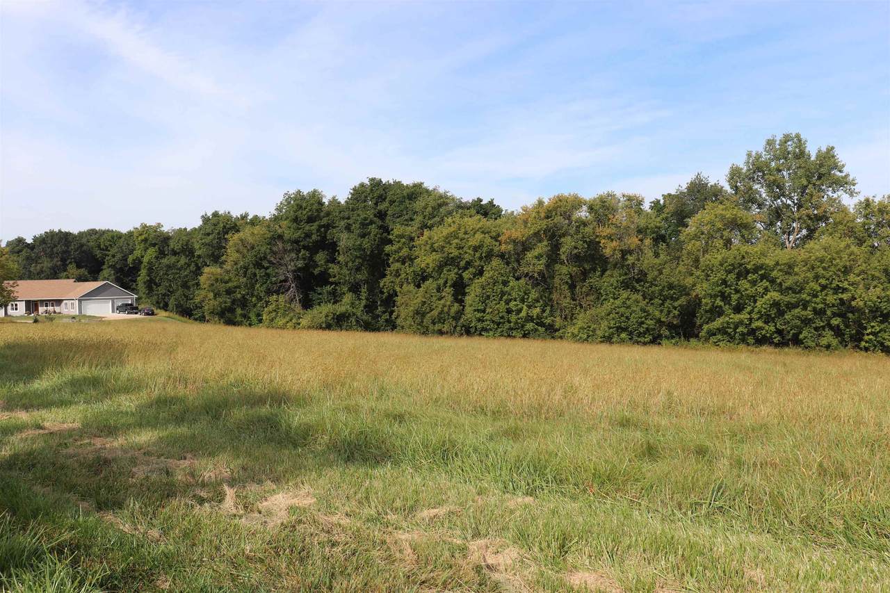 10.54 Acres County Road D - Photo 1