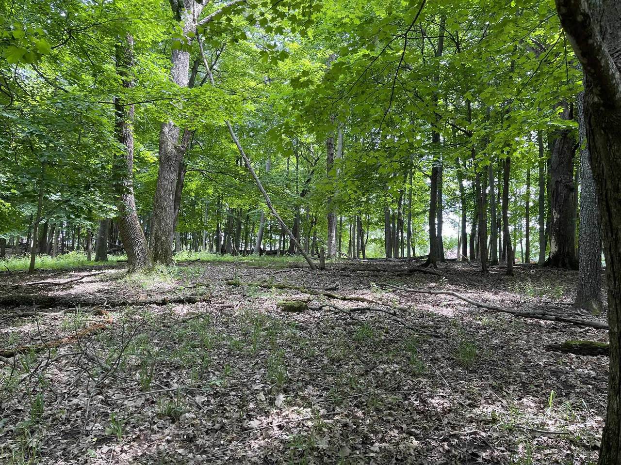 Lt 148 Pine Cone Lane - Photo 1