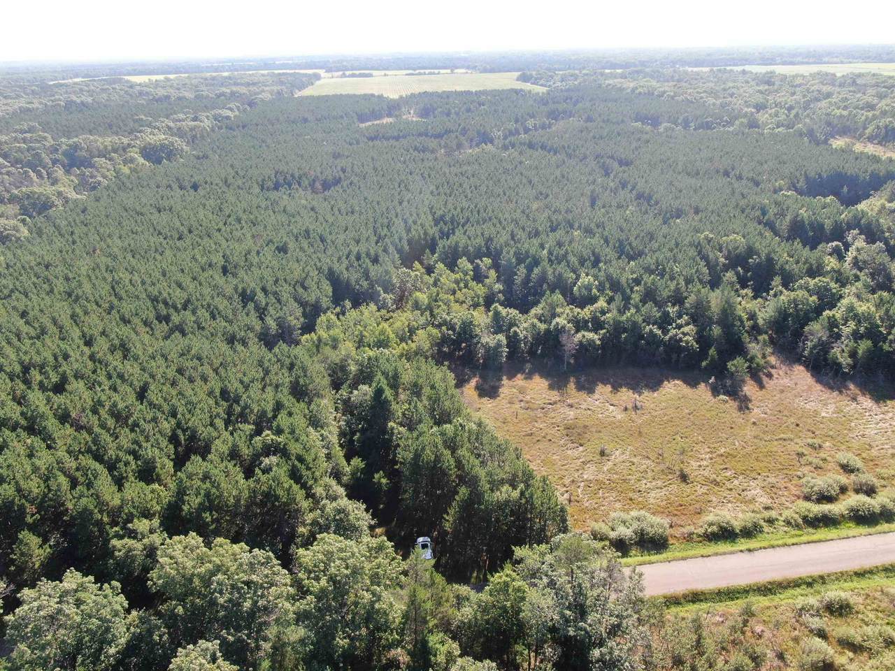 80 AC 9th Acres - Photo 1