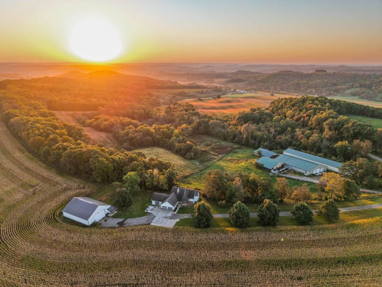 29000 Monarch Ave Avenue - Photo 1