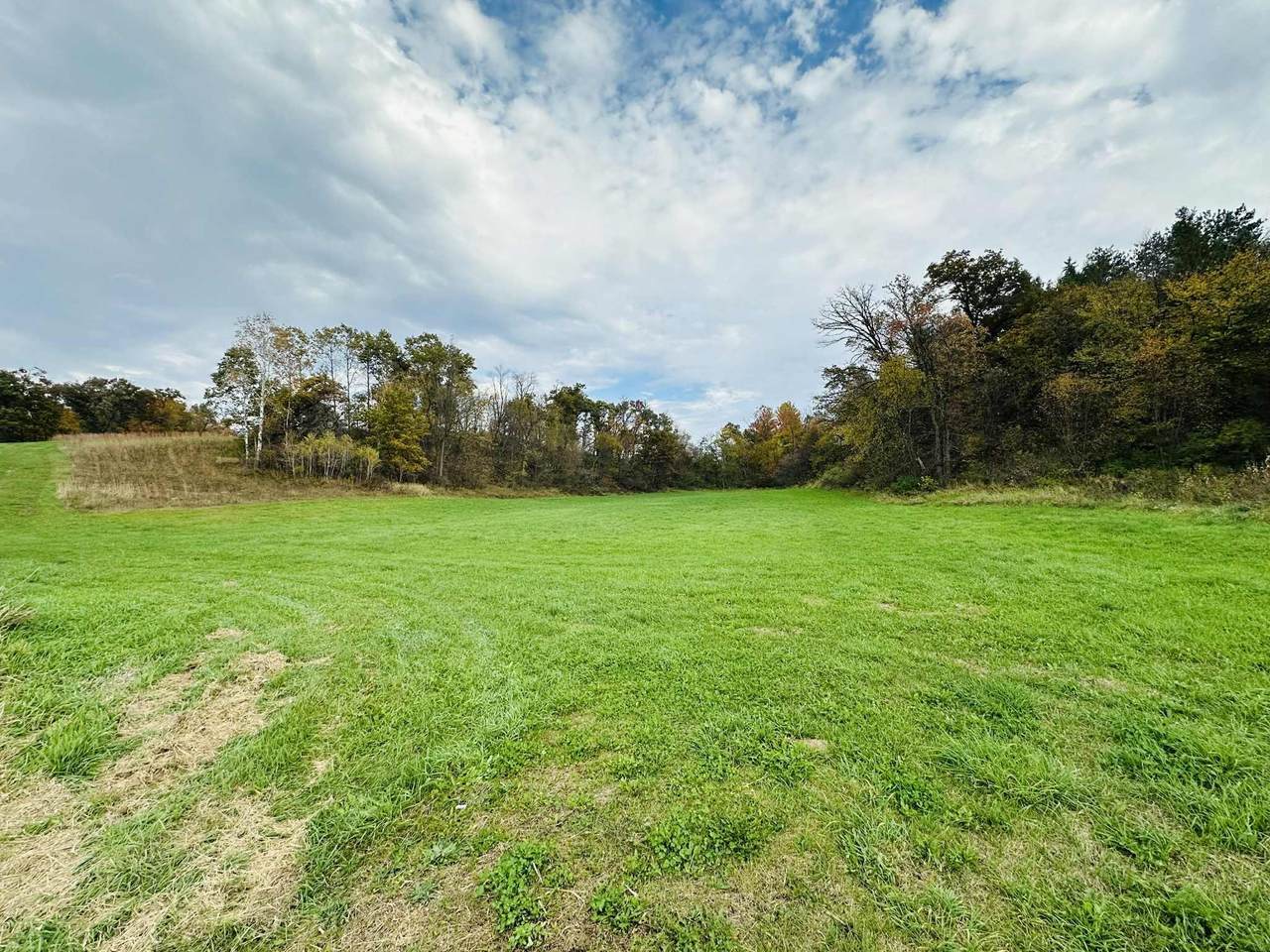 32.25 Acres Hwy 80 - Photo 1