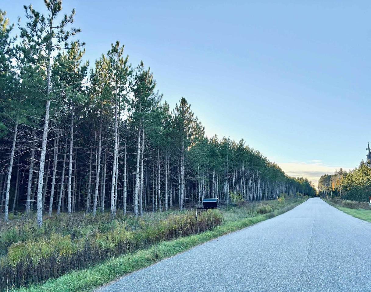Lot 4 Plantation Road - Photo 1