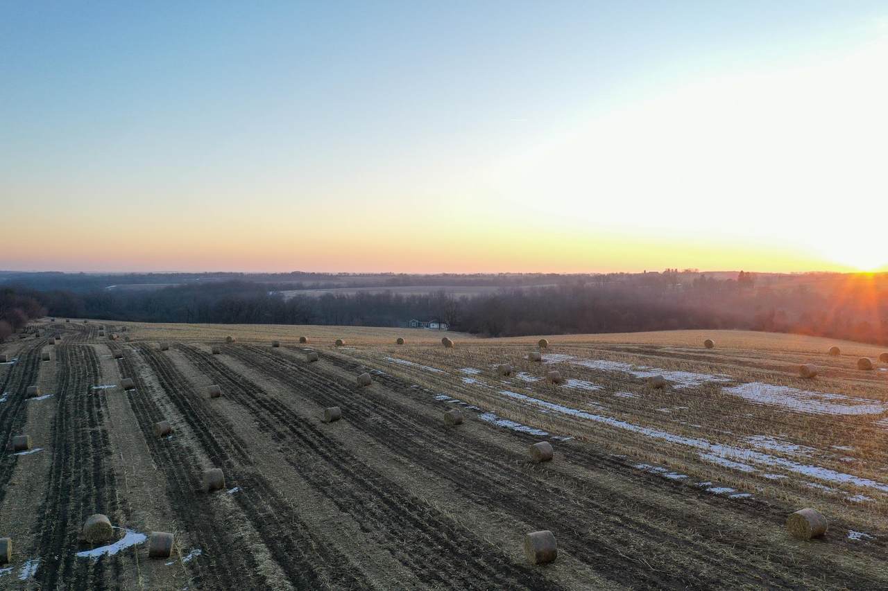 11.6 Acres Lunde Lane - Photo 1