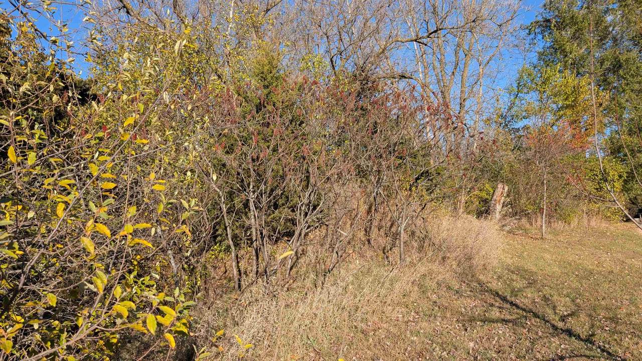 L14 Oak Road - Photo 1