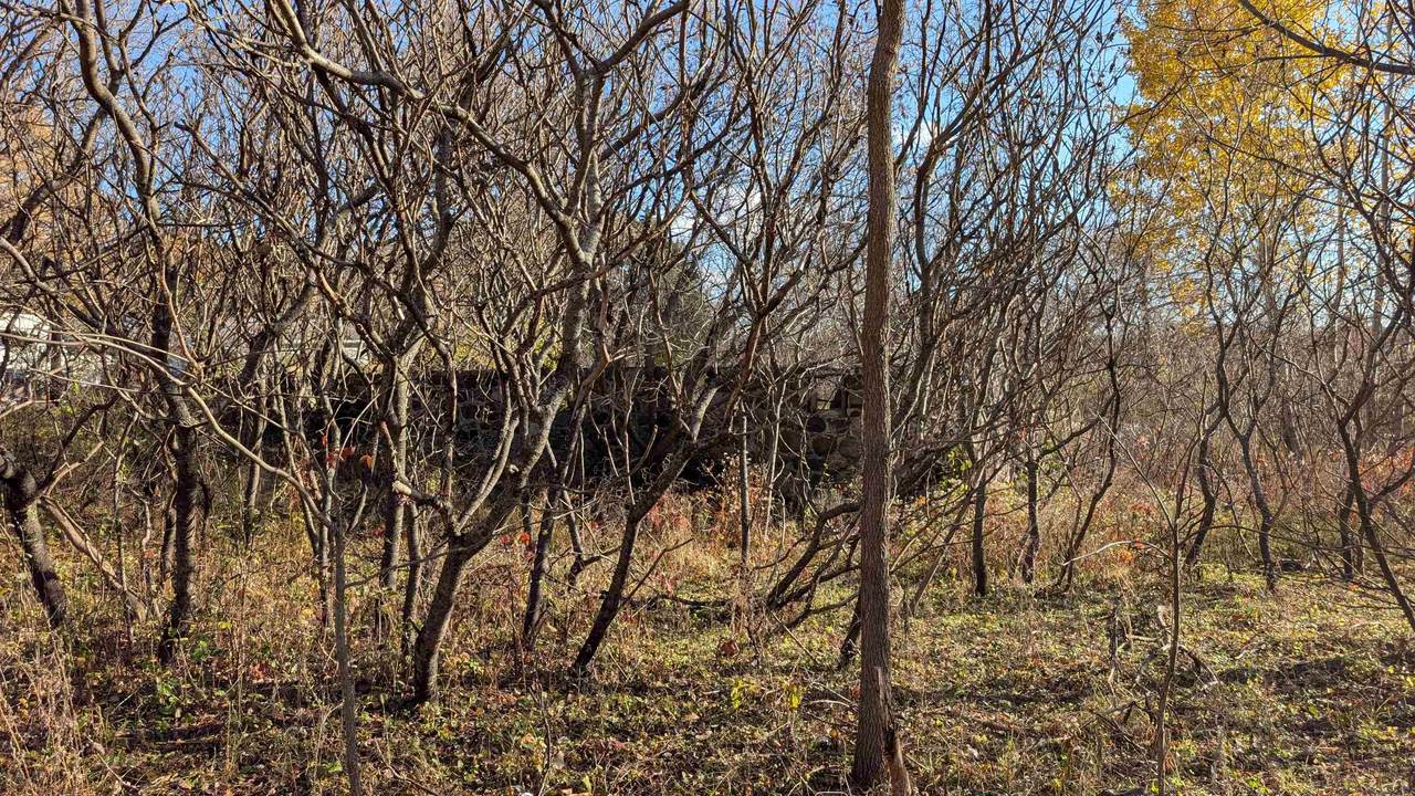 L17 Oak Road - Photo 1