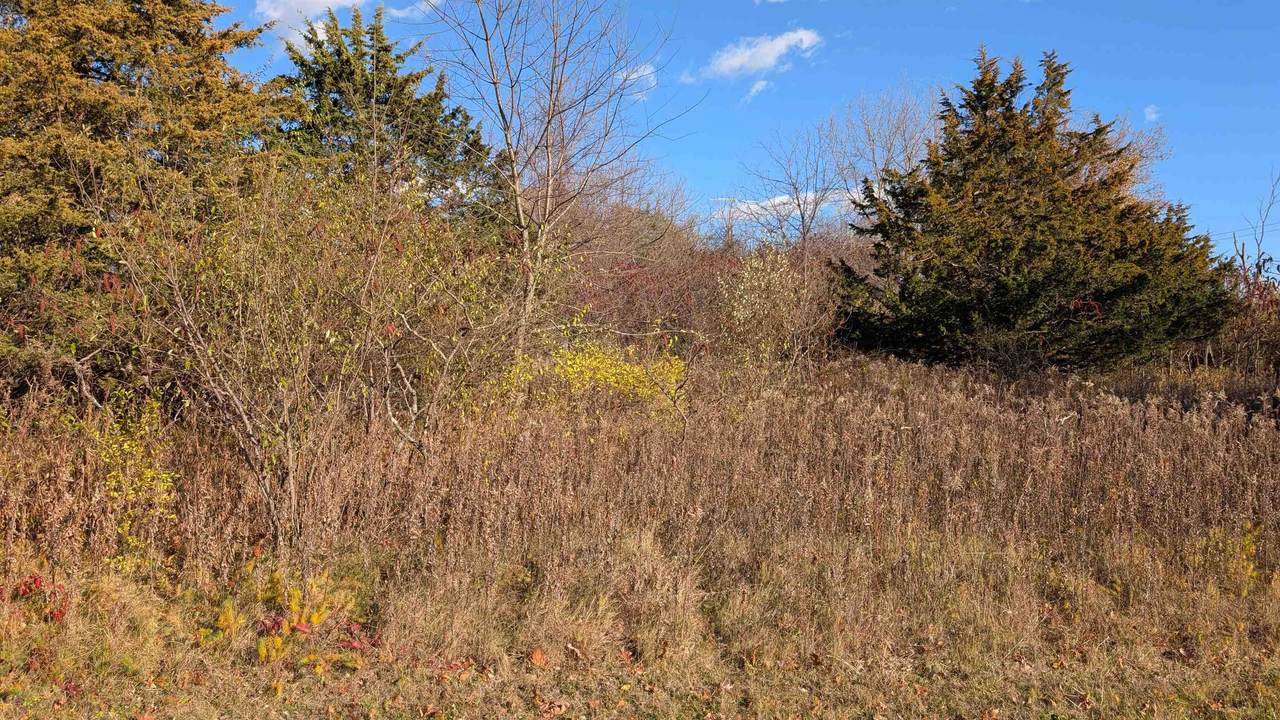 L18 Oak Road - Photo 1