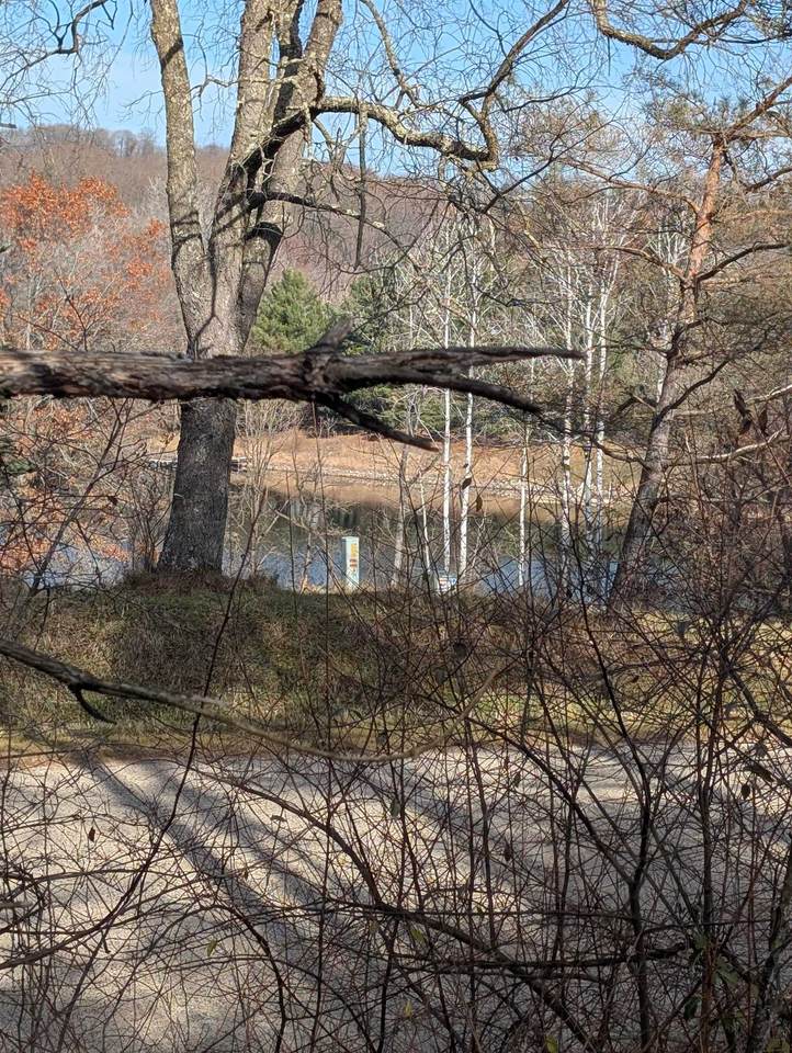 L221 Black Forest Drive - Photo 1