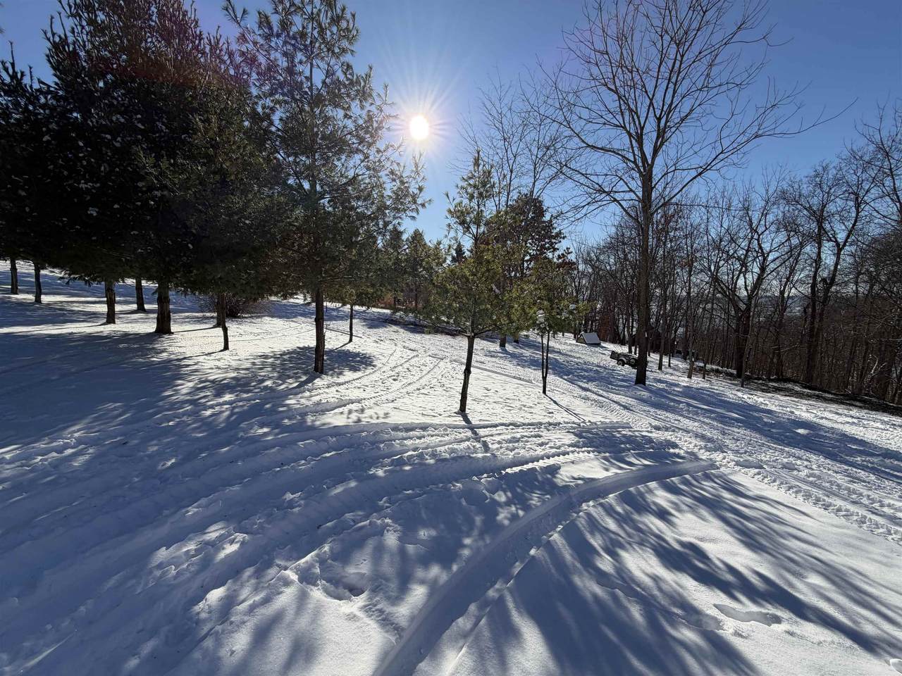 20549 Big Timber Ridge Road - Photo 1