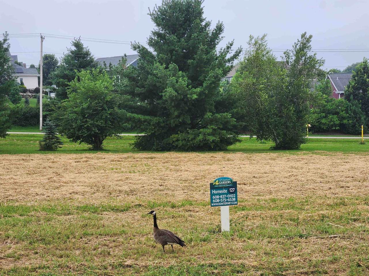 L129 Lucas Lane - Photo 1