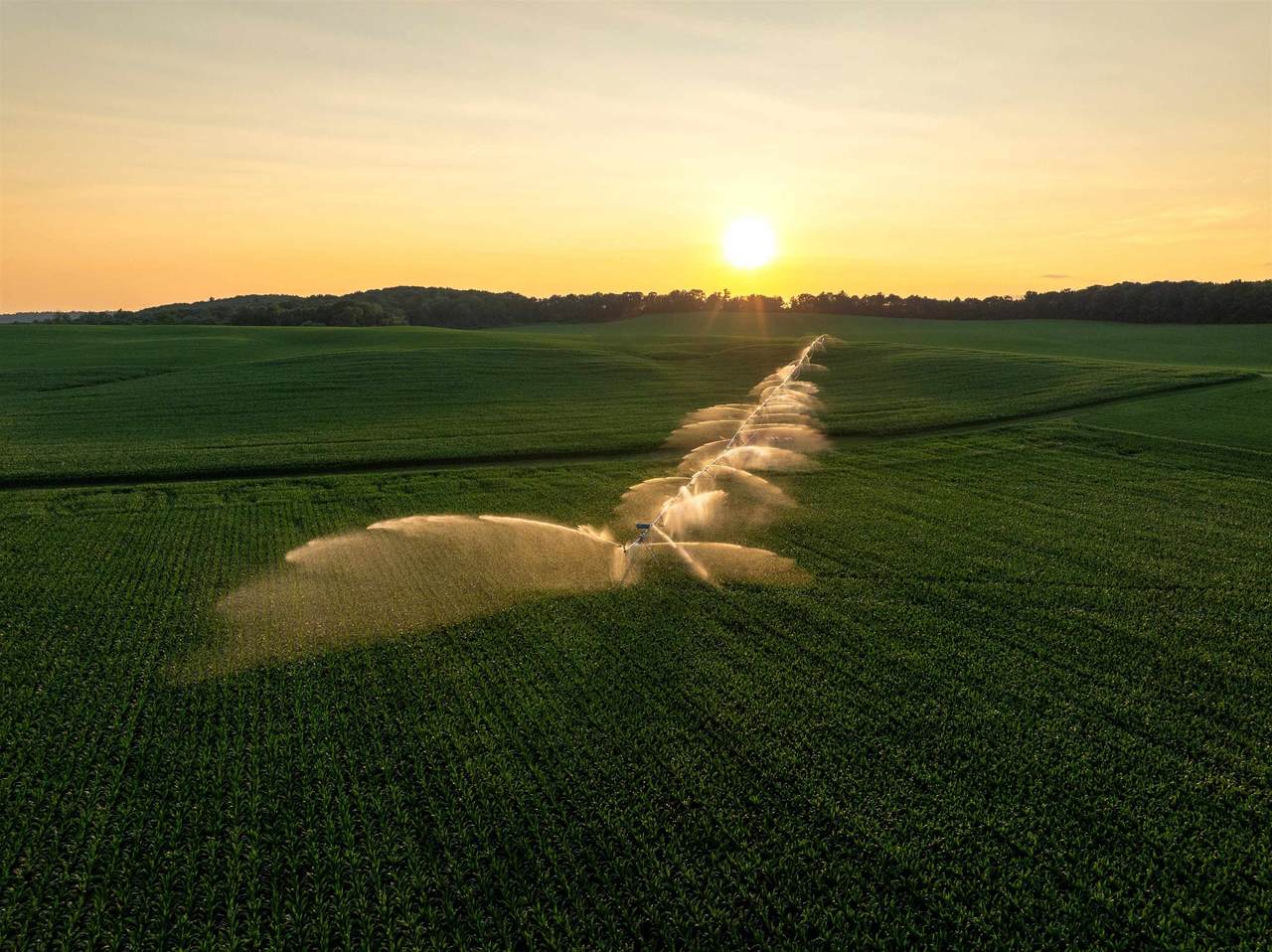 1,120.44&Acirc;&plusmn; Acres Land Auction - Photo 1