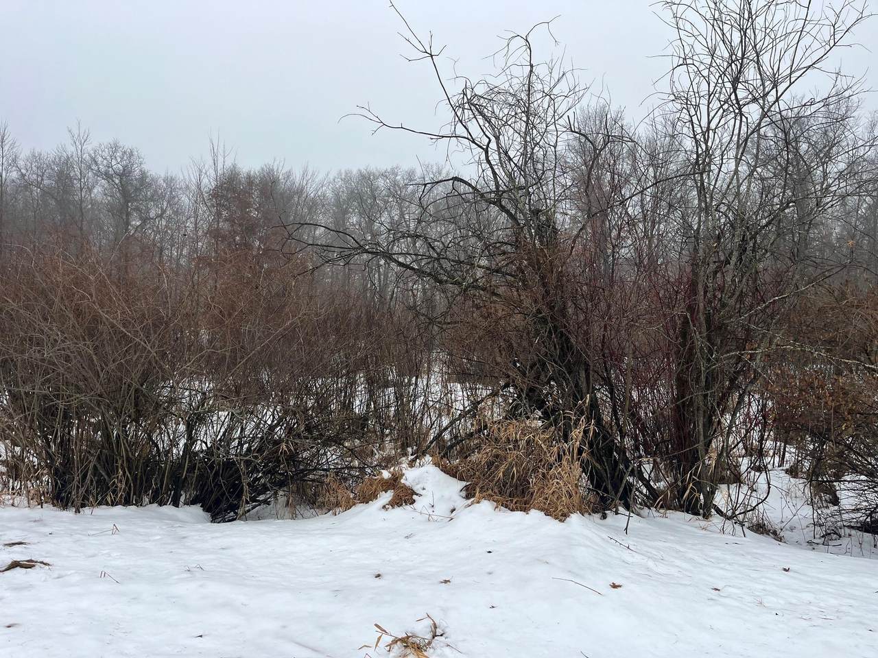 18 AC Chicago Avenue - Photo 1