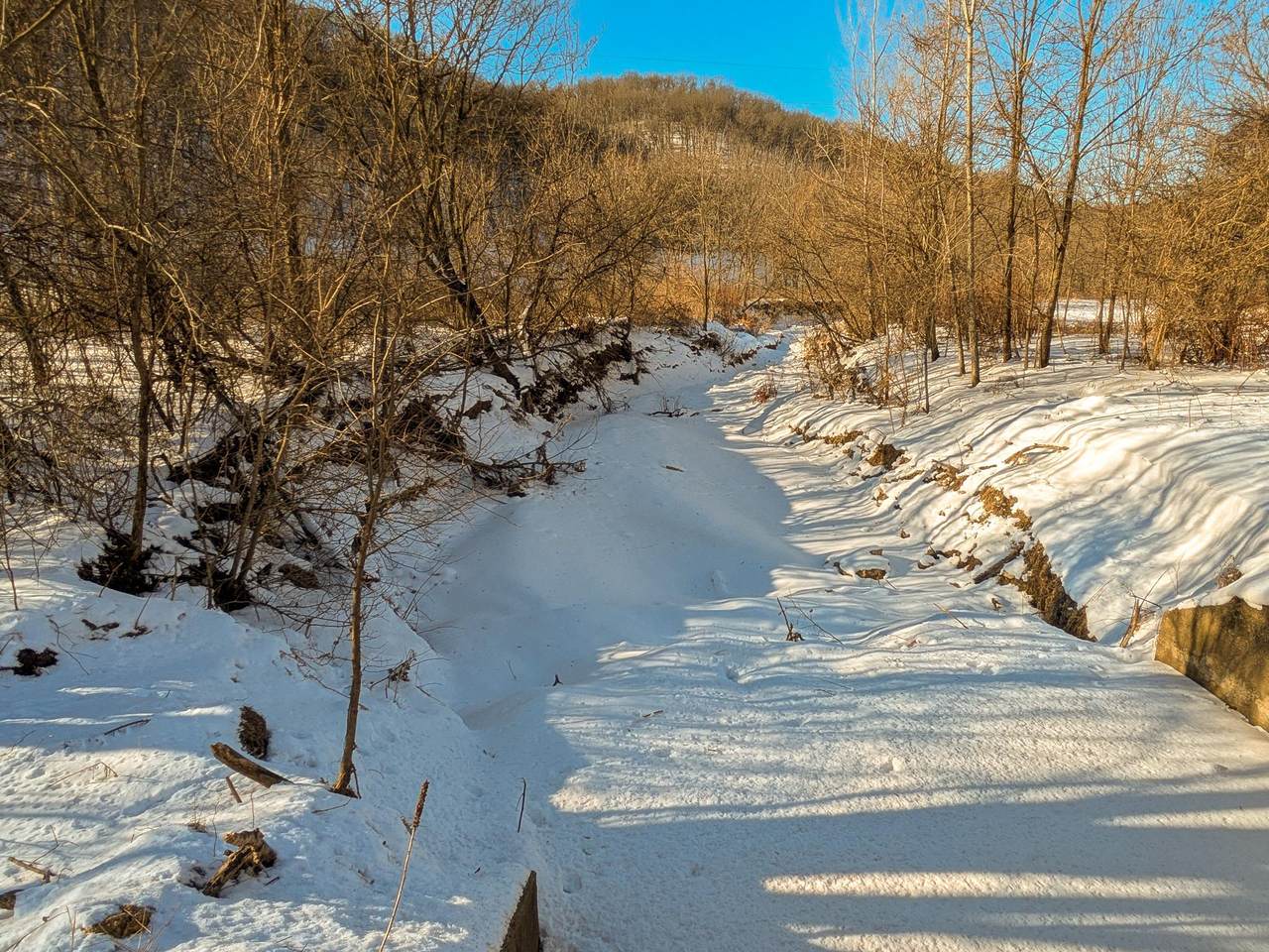 12.5 acres County Road S - Photo 1