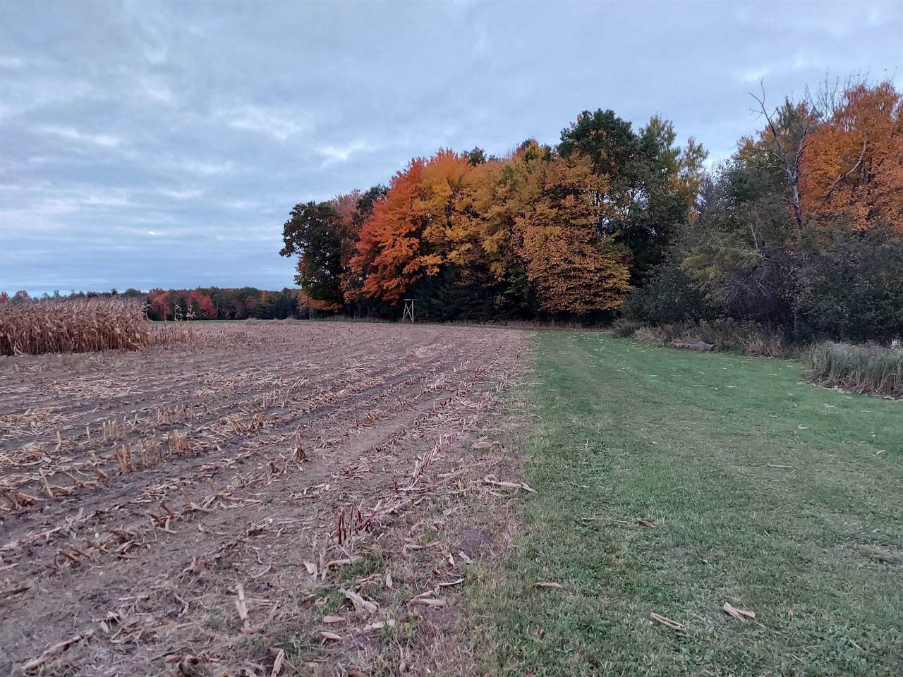 4265 Maple Road - Photo 1