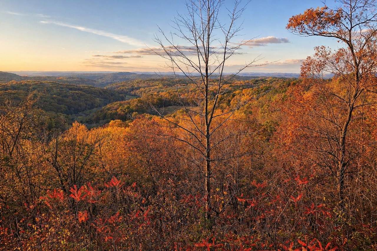 N7703 Wanlass Road - Photo 1