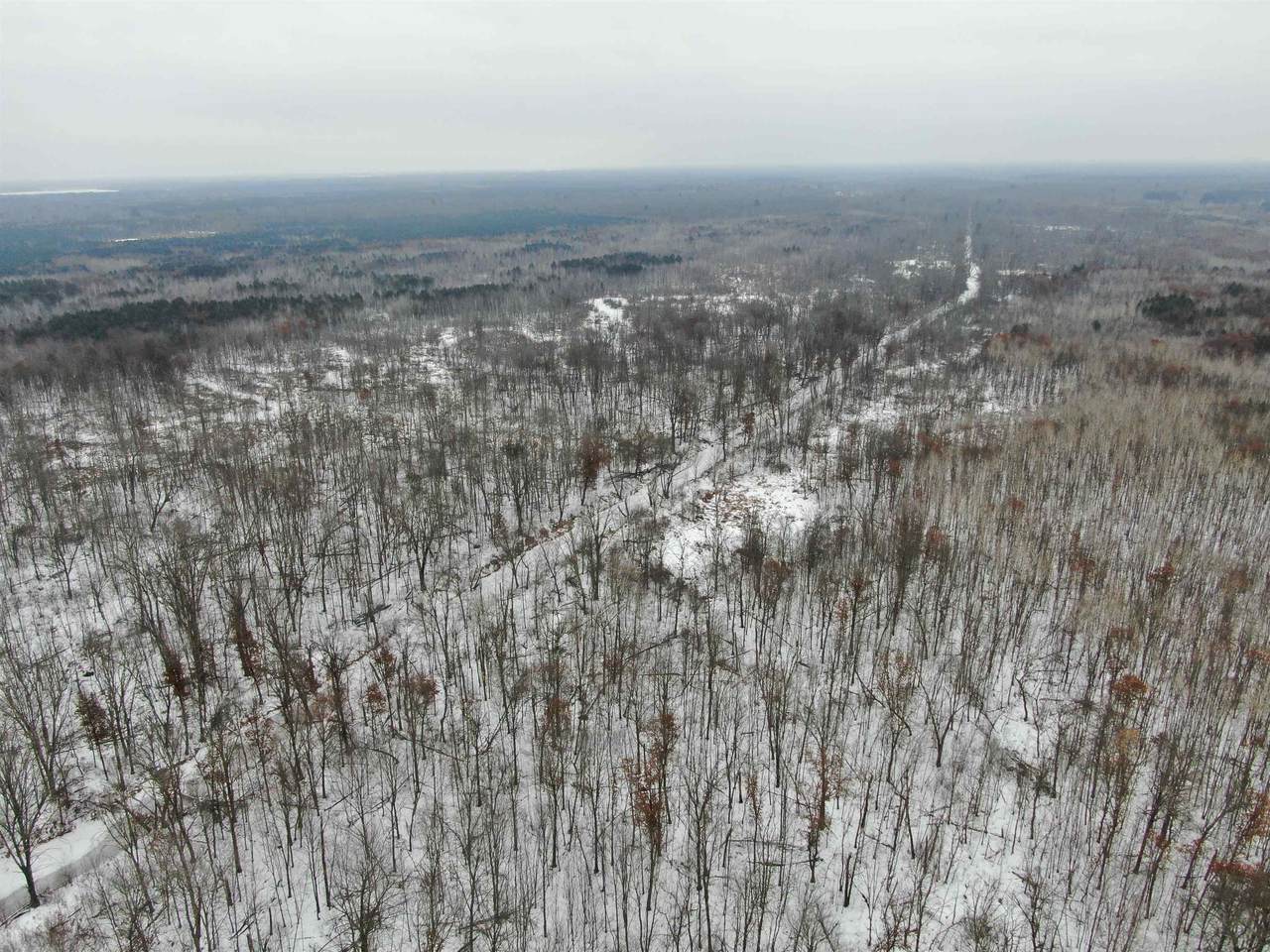 81.54 AC 28th St Acres - Photo 1
