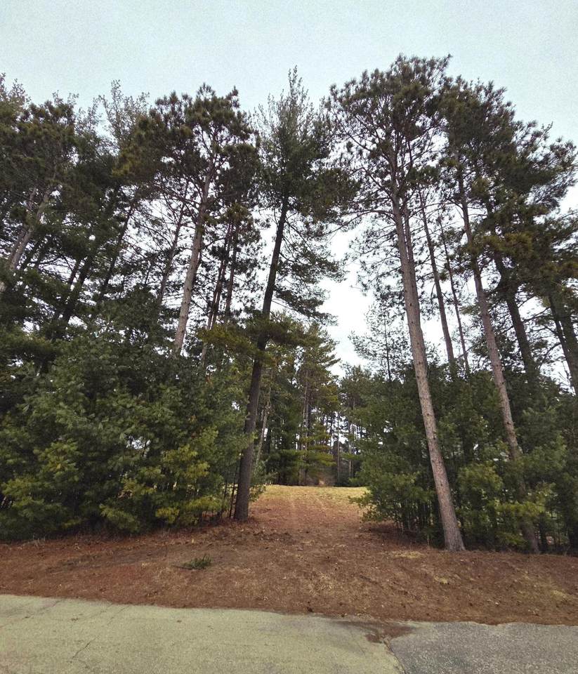 913 Forest Trail - Photo 1