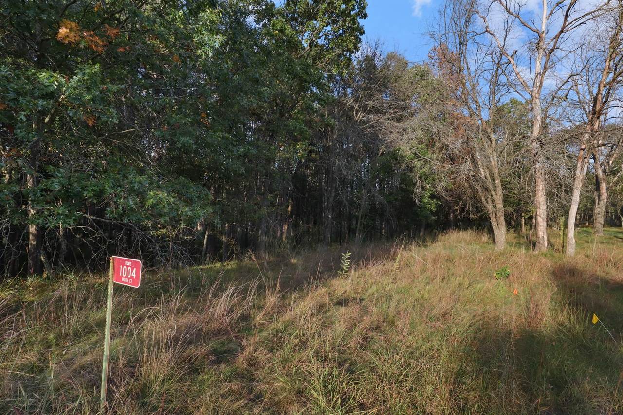 1002/1004 Moor Court - Photo 1