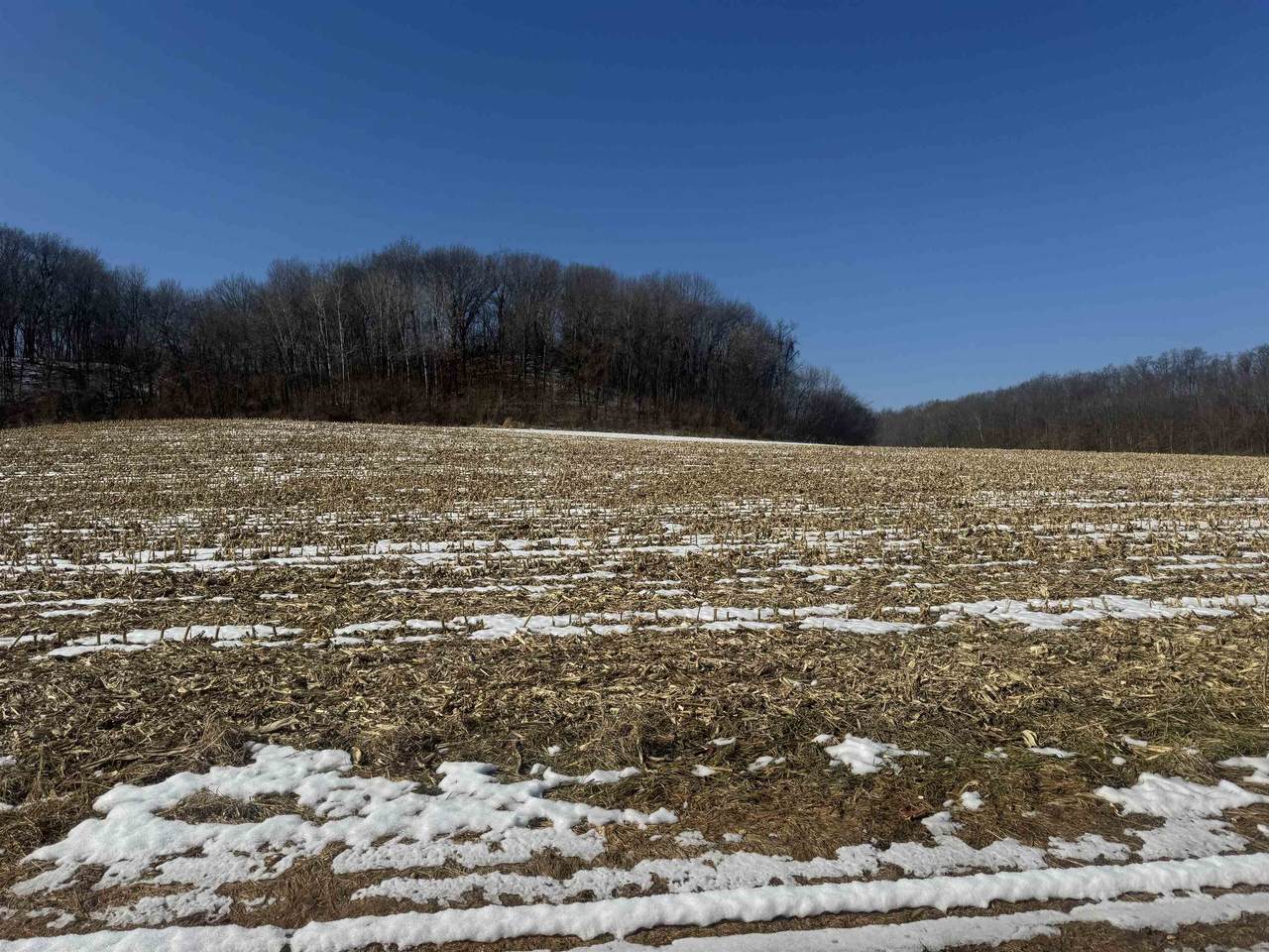 189.54 Acres Eli Valley Road - Photo 1