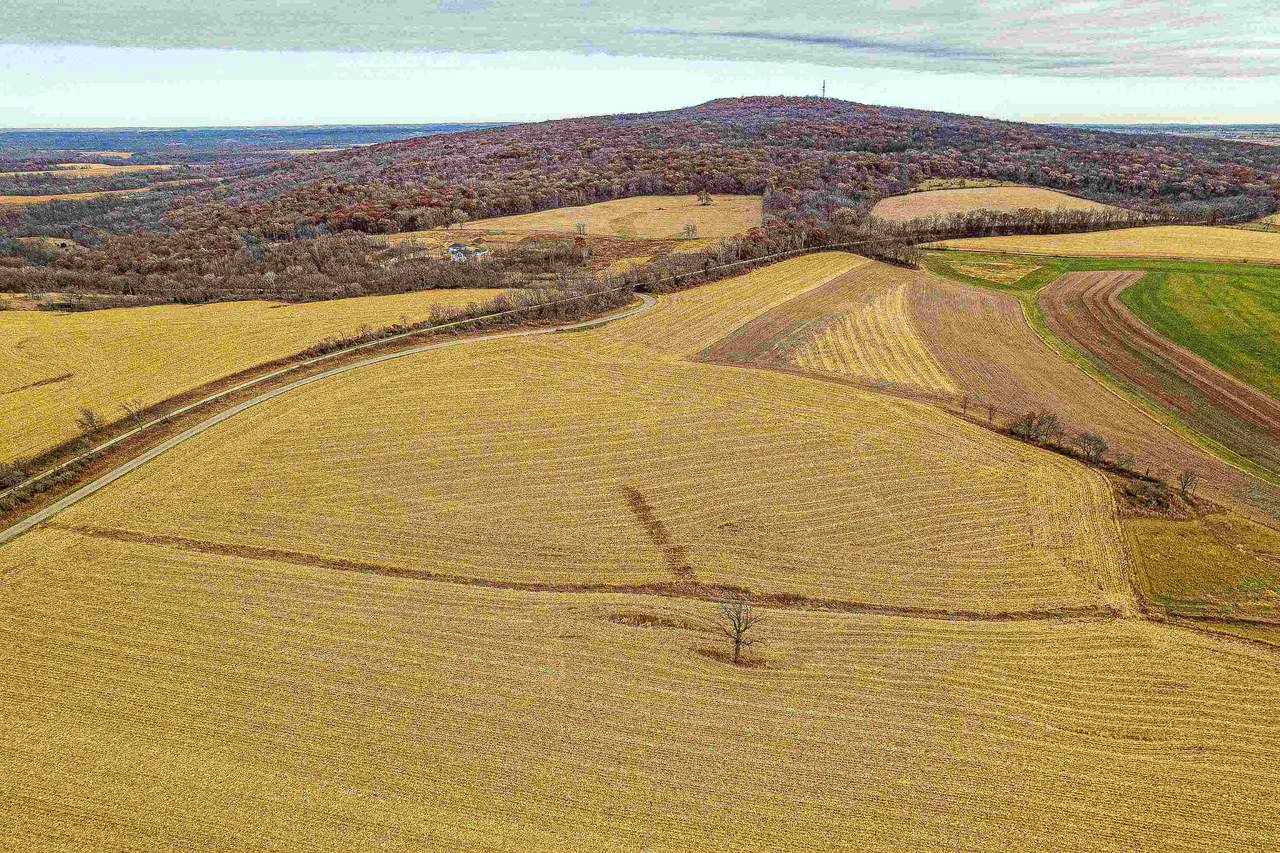 Lot 1 Blue Mounds Road - Photo 1
