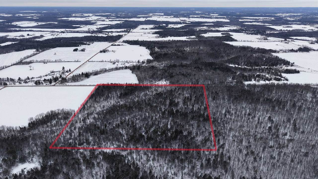 43+/- AC County Rd Ff Acres - Photo 1