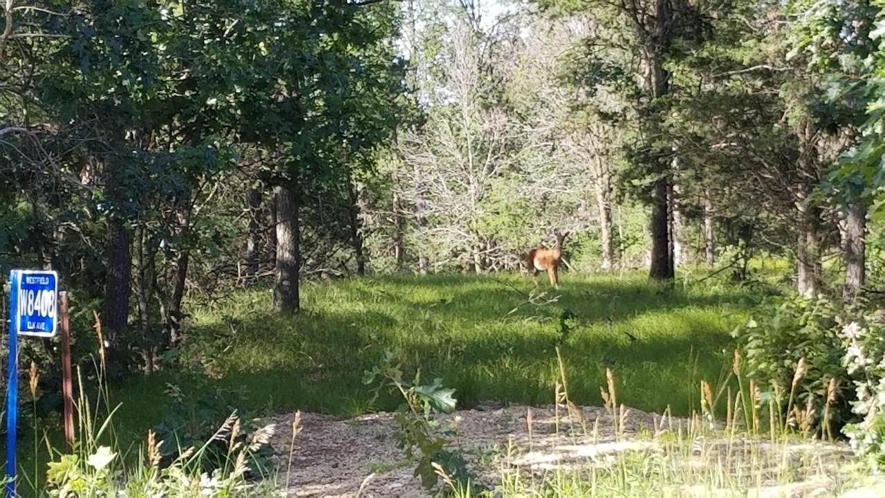 W8408 Elk Avenue - Photo 1