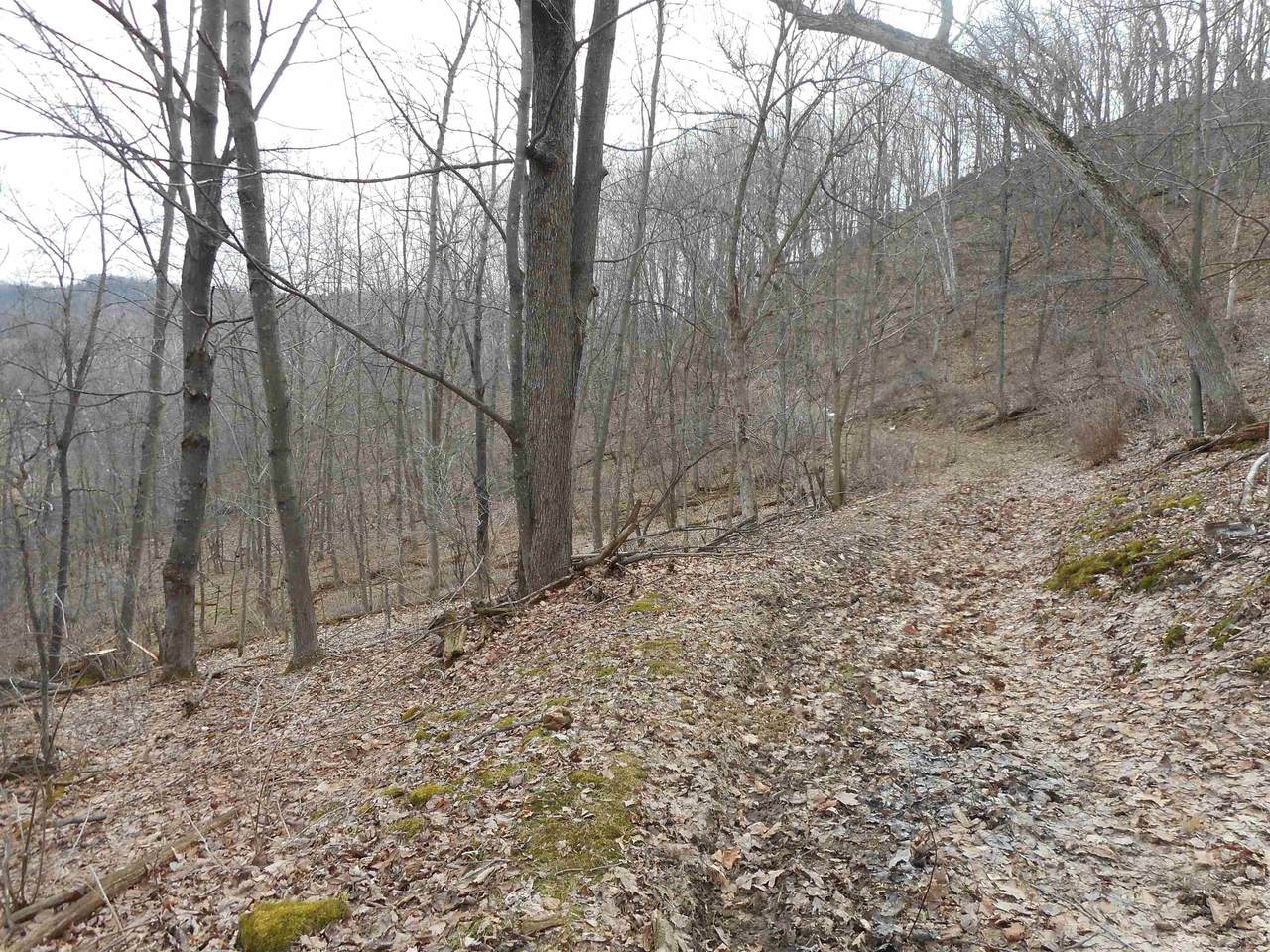 24503 Livingston Road - Photo 1