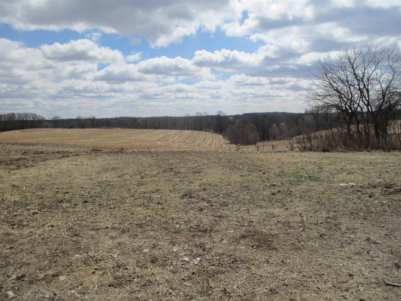 https://bt-photos.global.ssl.fastly.net/madison/orig_boomver_1_2019785-2.jpg