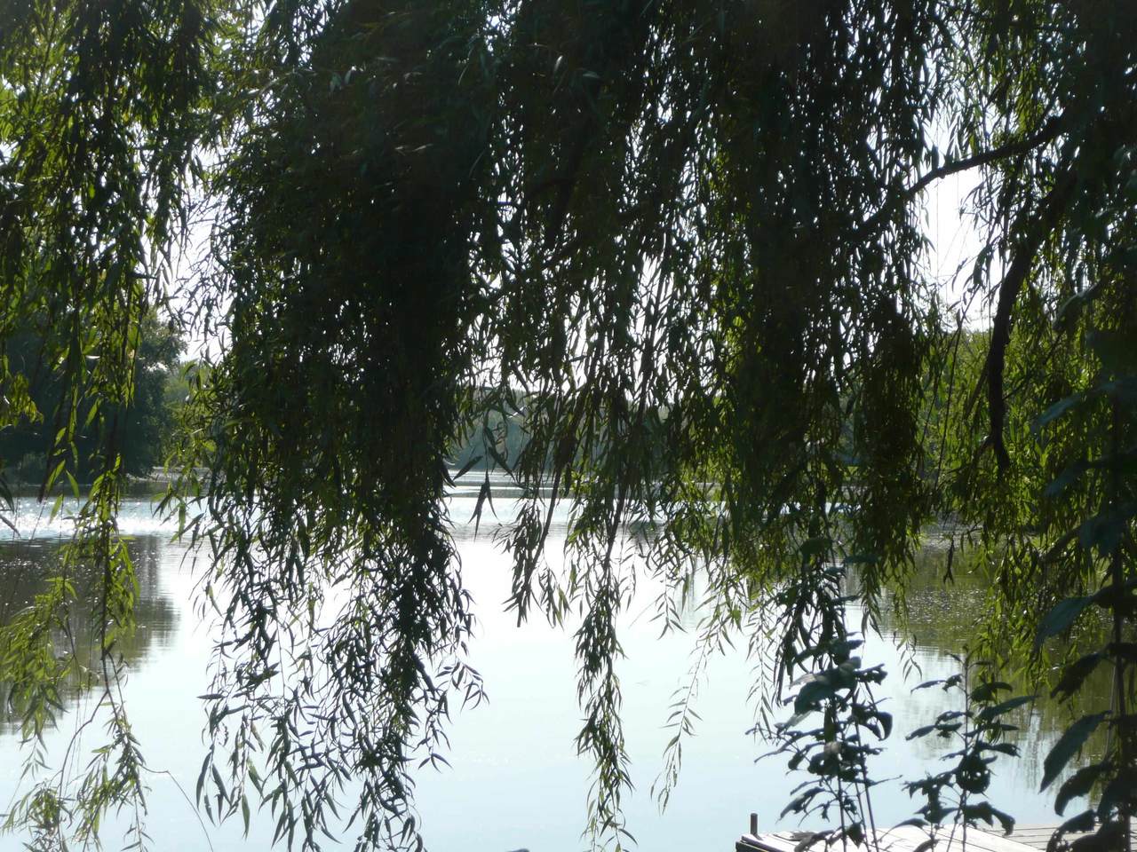 https://bt-photos.global.ssl.fastly.net/madison/1280_boomver_1_2019913-2.jpg