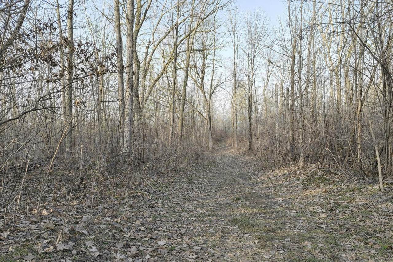 LOT 1 13 1/2 Avenue - Photo 1