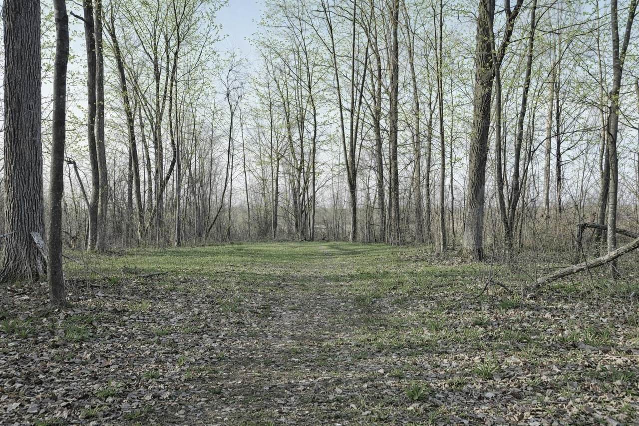 LOT 2 13 1/2 Avenue - Photo 1