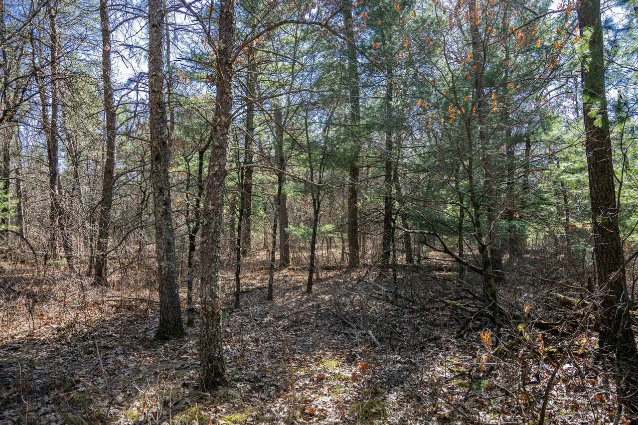 Lot 3 Morros Mile Road - Photo 1