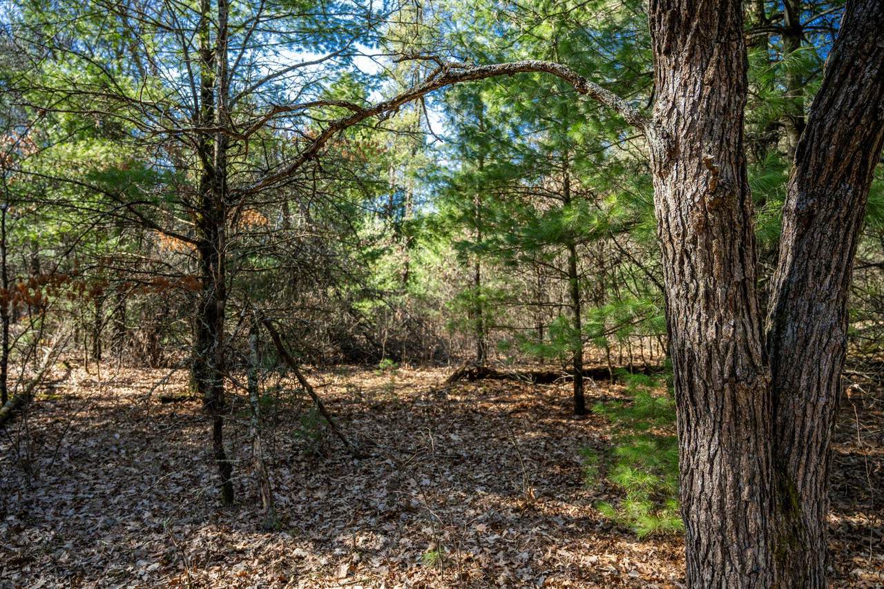Lot 4 Morros Mile Road - Photo 1