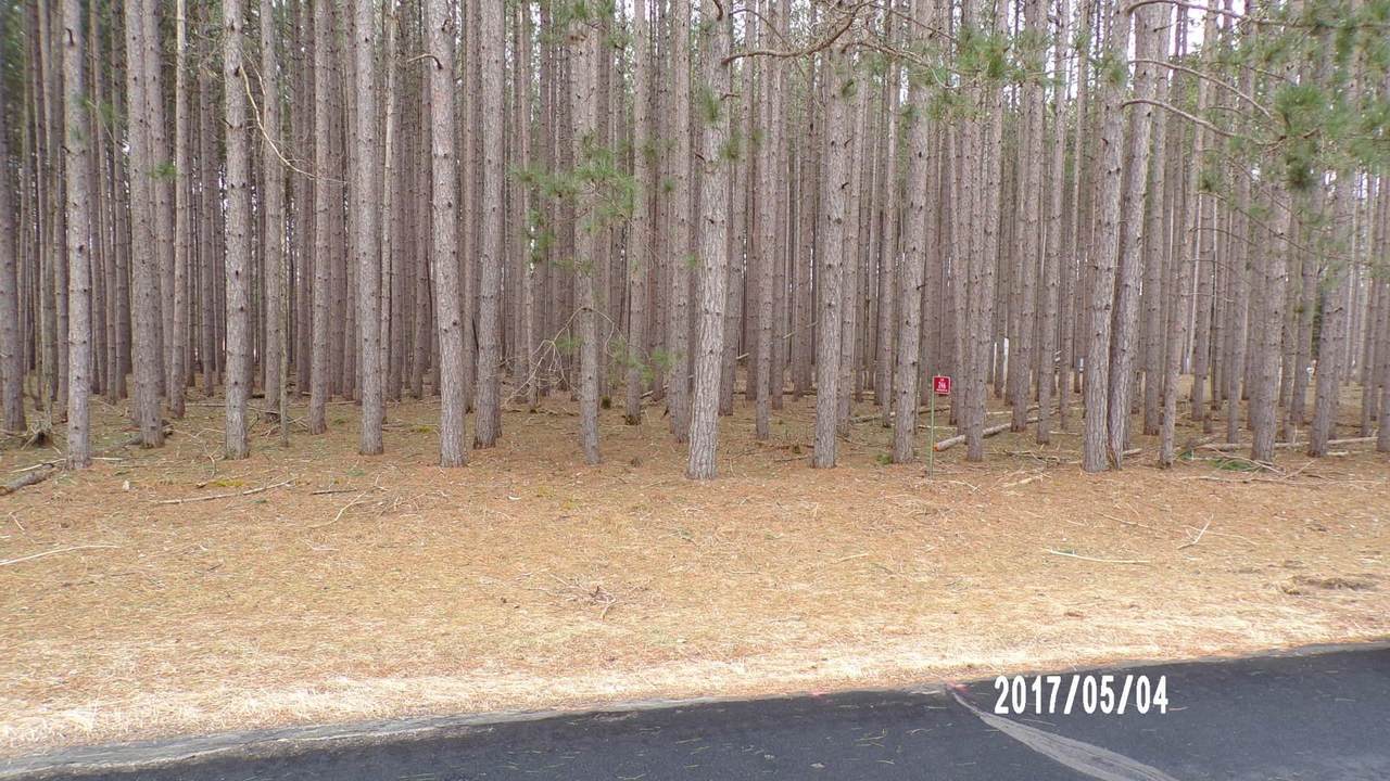 246 Winchester Road - Photo 1