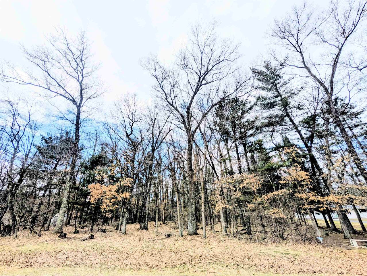 0 11th Avenue - Photo 1